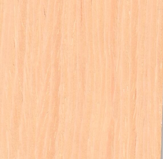 Дуб выбеленный